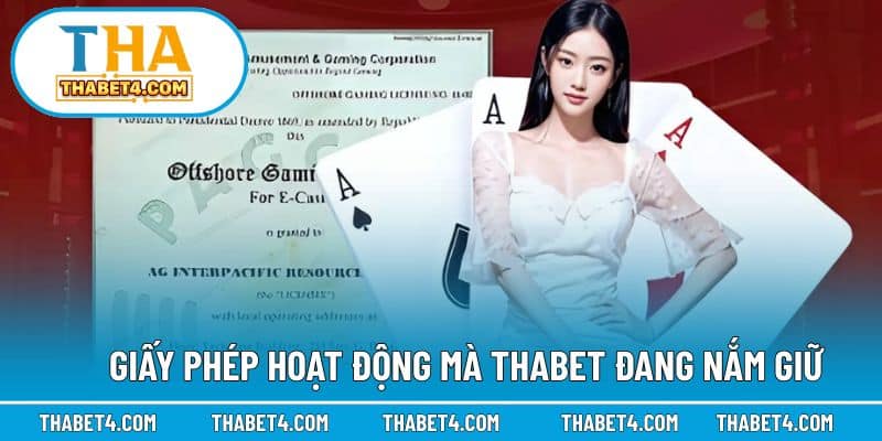 Các loại giấy phép chính thức hiện có của nhà cái
