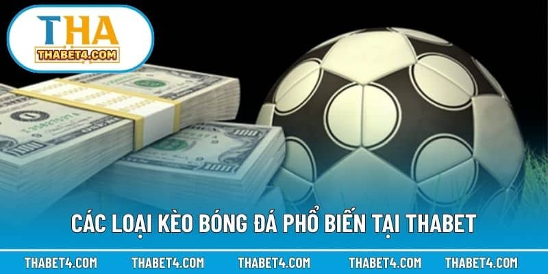 Các loại kèo bóng đá phổ biến tại Thabet