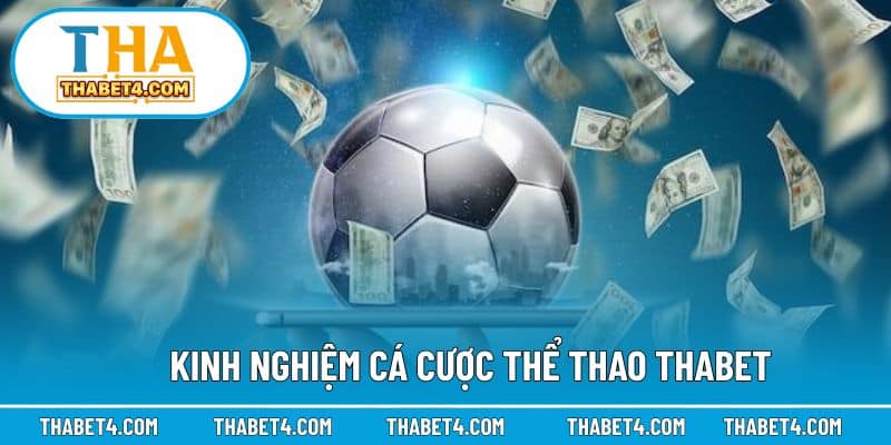Chia sẻ bí quyết cá cược thể thao giúp nâng cao tỷ lệ thắng
