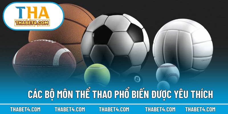 Danh sách bộ môn thể thao được yêu thích nhất tại nhà cái