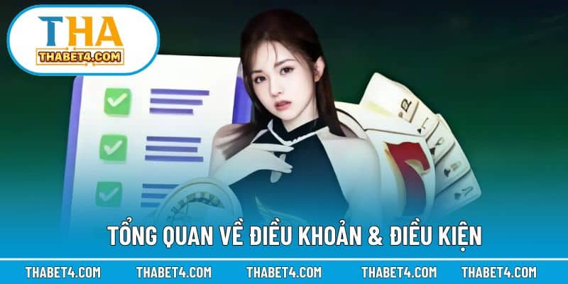 Khái quát về điều khoản & điều kiện trong hệ thống