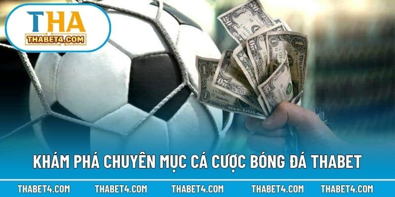 Khám phá chuyên mục cá cược bóng đá Thabet