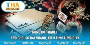Rồng Hổ THABET