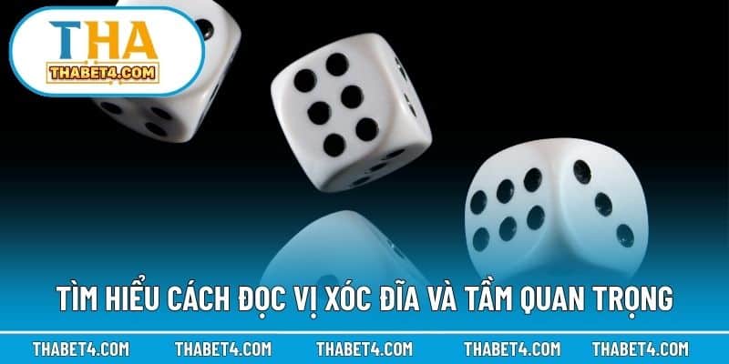 Tìm hiểu cách đọc vị xóc đĩa và tầm quan trọng