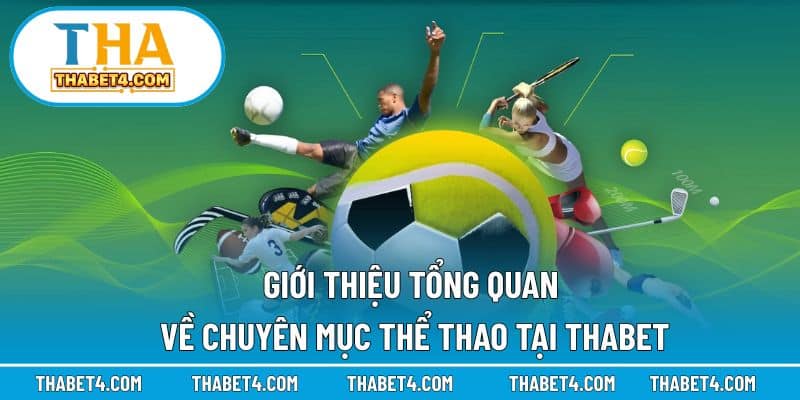 Tổng quan chuyên mục thể thao đang hoạt động tại nhà cái